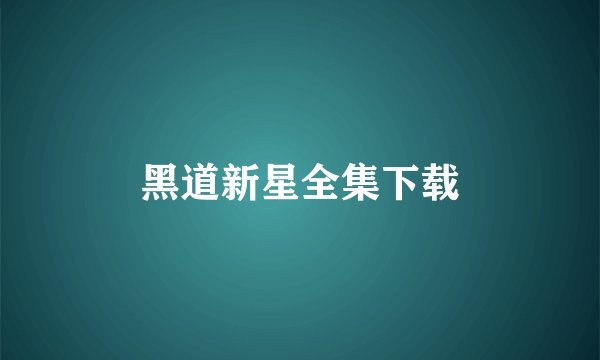 黑道新星全集下载