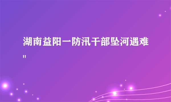 湖南益阳一防汛干部坠河遇难