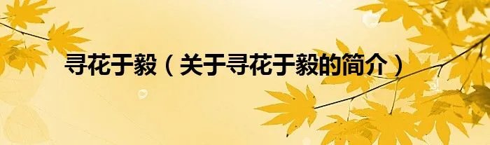 寻花于毅（关于寻花于毅的简介）