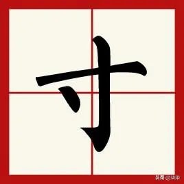 寸字旁的字有哪些？