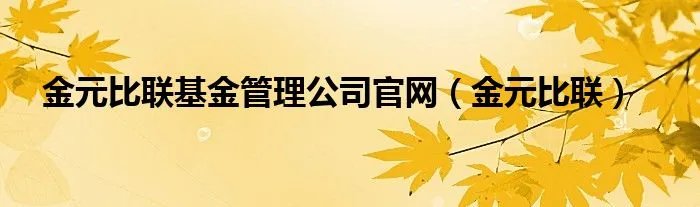 金元比联基金管理公司官网（金元比联）