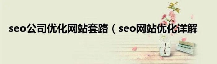 seo公司优化网站套路（seo网站优化详解