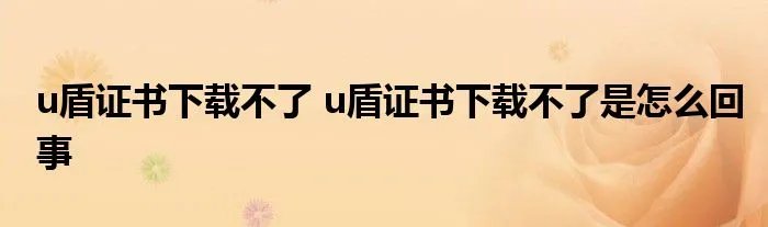 u盾证书下载不了 u盾证书下载不了是怎么回事