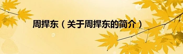 周捍东（关于周捍东的简介）