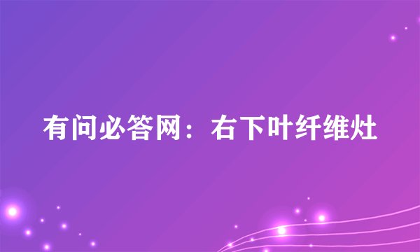 有问必答网：右下叶纤维灶