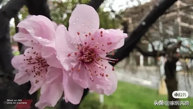 湖北省什么时候可以解除封锁?
