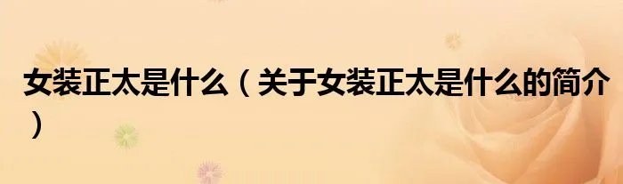 女装正太是什么（关于女装正太是什么的简介）