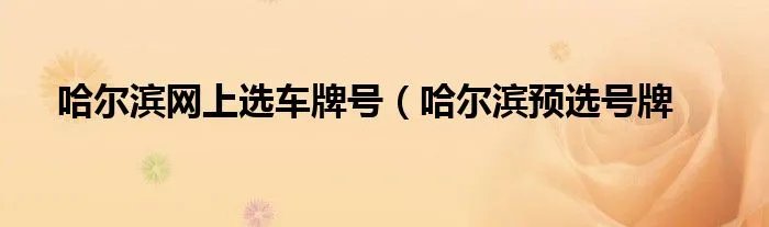 哈尔滨网上选车牌号（哈尔滨预选号牌