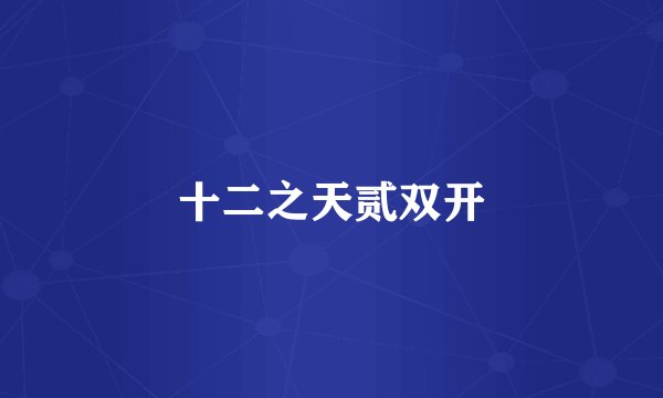 十二之天贰双开