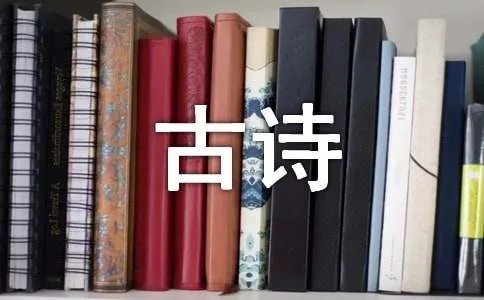 过年的古诗诗句