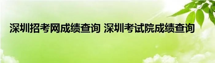 深圳招考网成绩查询 深圳考试院成绩查询