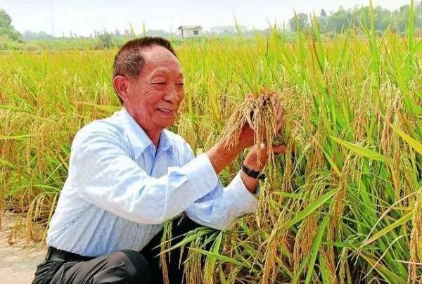 民众跪地痛哭送别袁隆平,你有什么想说的吗?