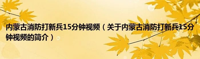 内蒙古消防打新兵15分钟视频（关于内蒙古消防打新兵15分钟视频的简介）