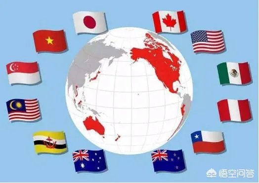 新TPP将生效，日本能填补美国留下的“真空”吗？