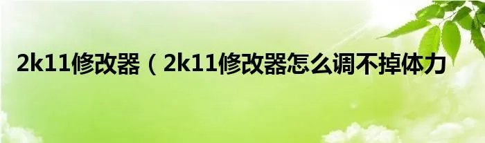 2k11修改器（2k11修改器怎么调不掉体力