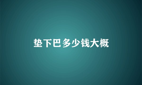 垫下巴多少钱大概