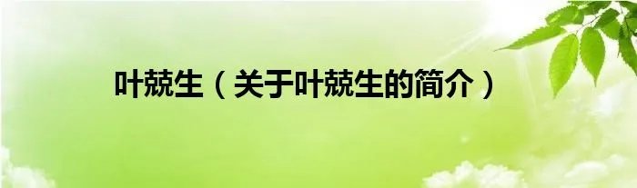 叶兢生（关于叶兢生的简介）