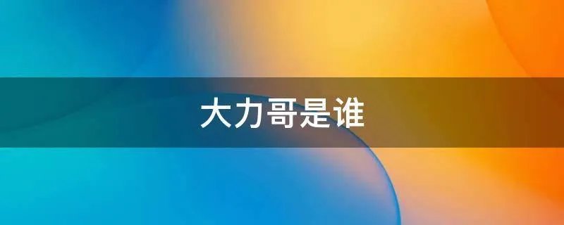 大力哥是谁