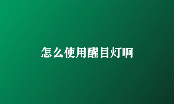 怎么使用醒目灯啊