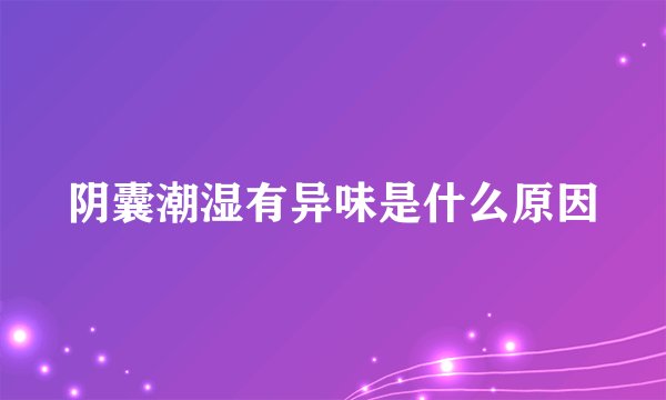 阴囊潮湿有异味是什么原因