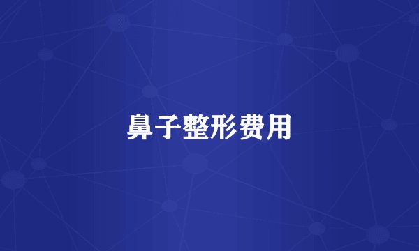 鼻子整形费用