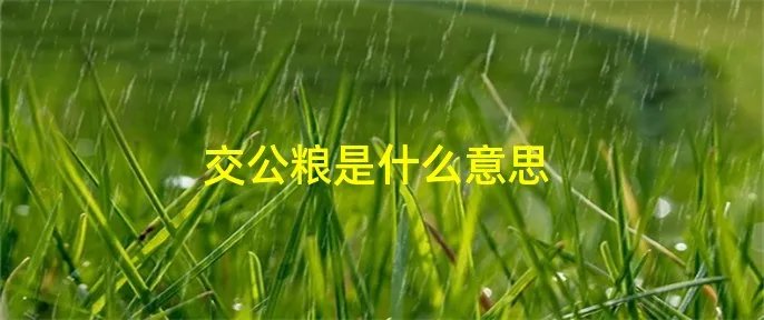 交公粮是什么意思