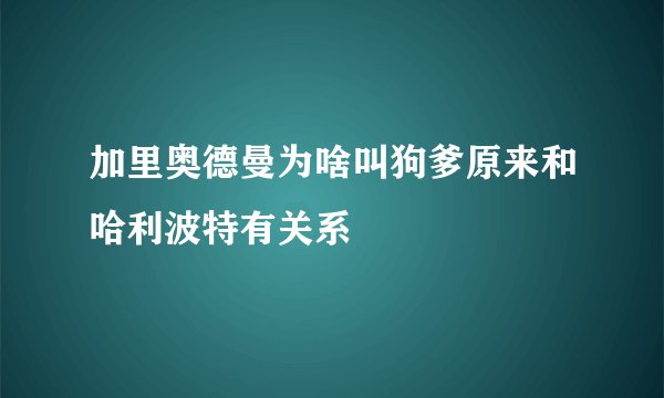 加里奥德曼为啥叫狗爹原来和哈利波特有关系