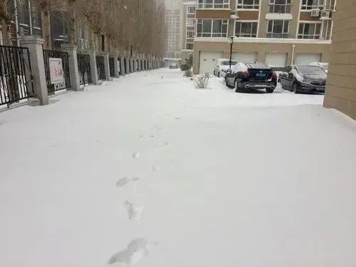 通辽市民早起发现一楼“消失”，当地的这场大雪下的究竟有多大？
