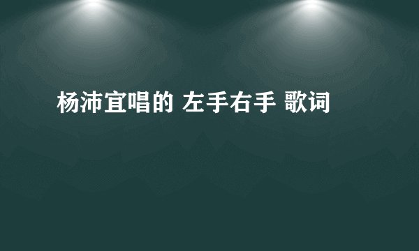 杨沛宜唱的 左手右手 歌词