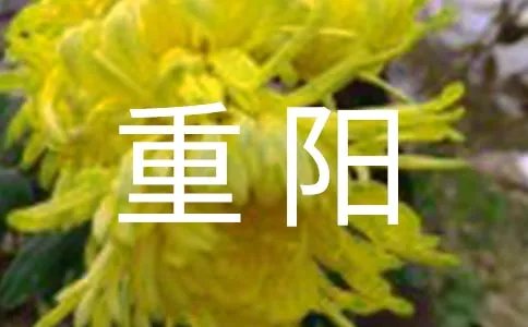 重阳的诗句