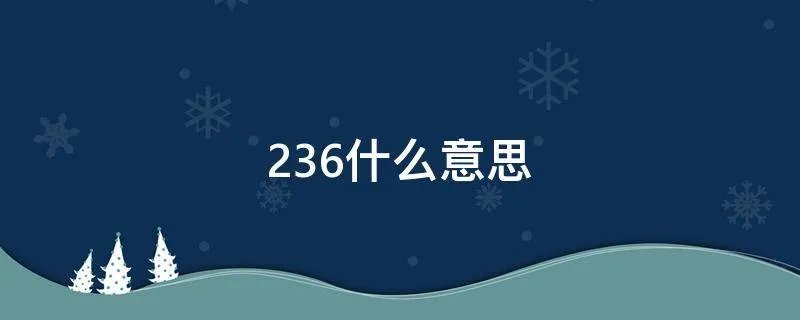 236什么意思