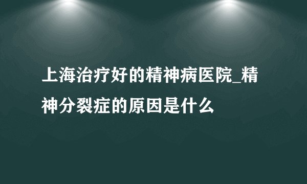 上海治疗好的精神病医院_精神分裂症的原因是什么