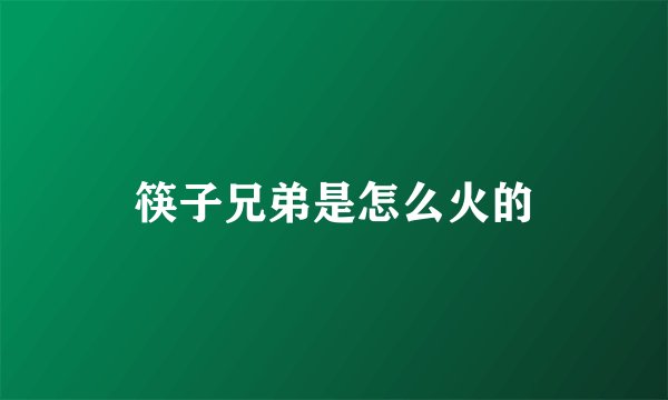 筷子兄弟是怎么火的
