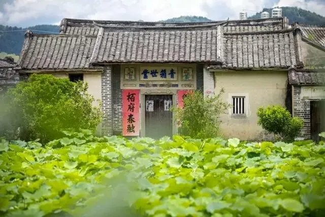 美丽的梅州县城大埔有哪些值得一看的旅游景点?