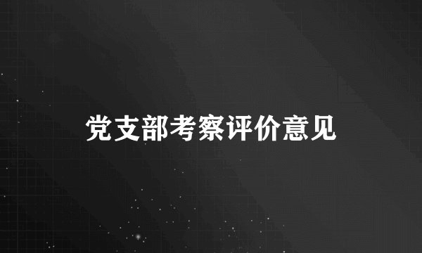 党支部考察评价意见