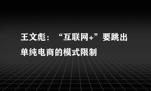 王文彪：“互联网+”要跳出单纯电商的模式限制