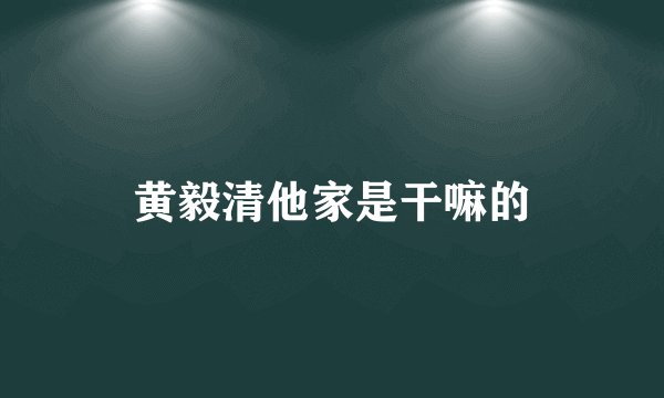 黄毅清他家是干嘛的