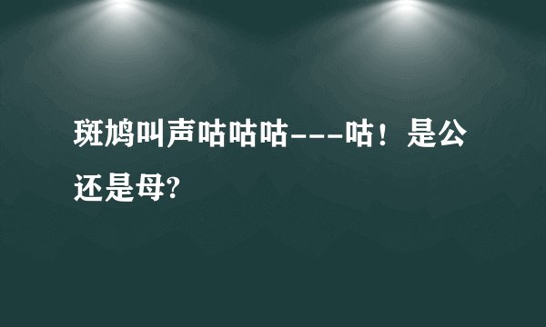 斑鸠叫声咕咕咕---咕！是公还是母?