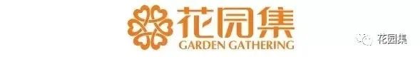 疫情还未结束,造园人在家能学哪些技能?
