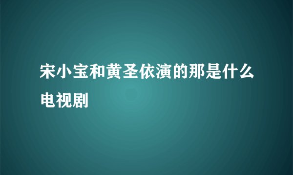 宋小宝和黄圣依演的那是什么电视剧