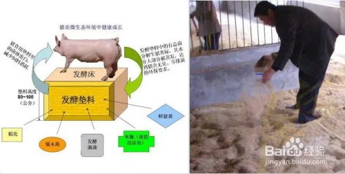 发酵床养猪制作方法图解