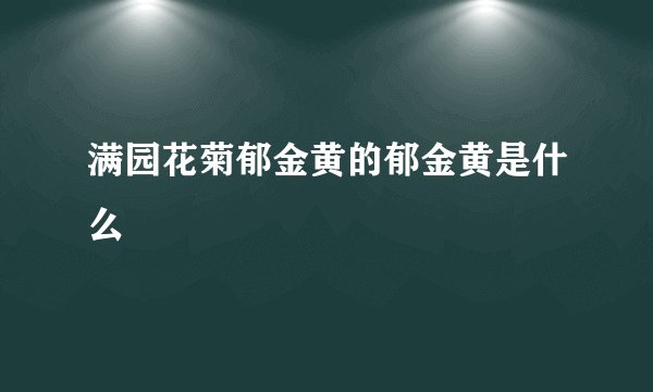满园花菊郁金黄的郁金黄是什么