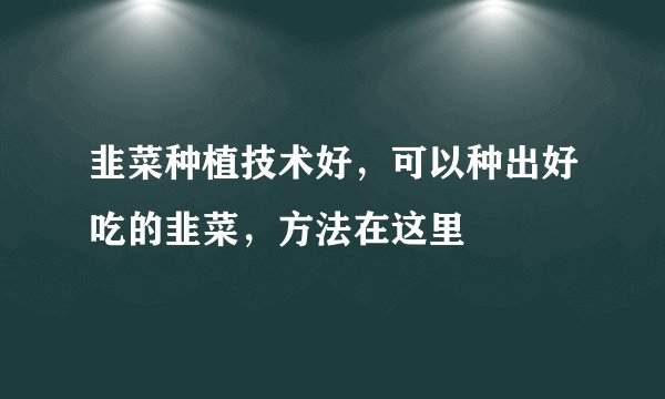 韭菜种植技术好，可以种出好吃的韭菜，方法在这里
