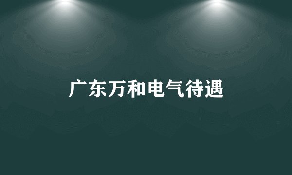 广东万和电气待遇