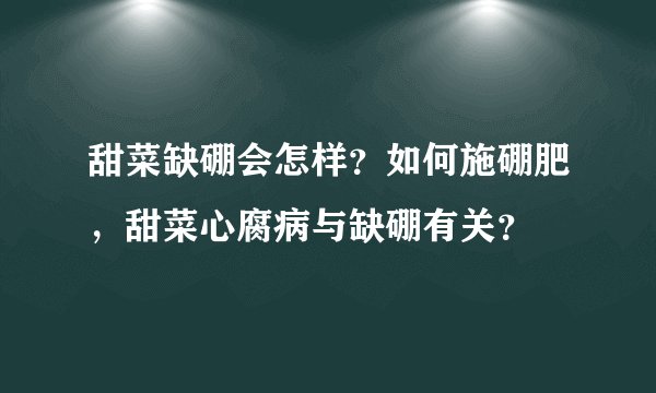 甜菜缺硼会怎样?如何施硼肥,甜菜心腐病与缺硼有关?