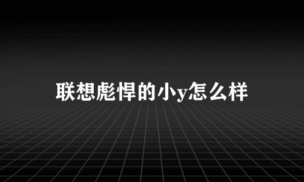 联想彪悍的小y怎么样