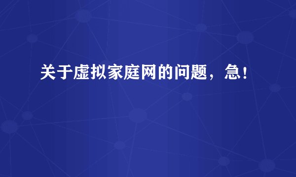 关于虚拟家庭网的问题，急！