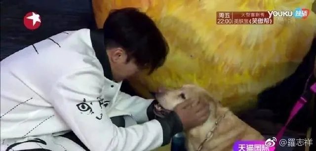 罗志祥本身的性格是怎样的?在极限挑战中是本色出演还是卖蠢萌人设?