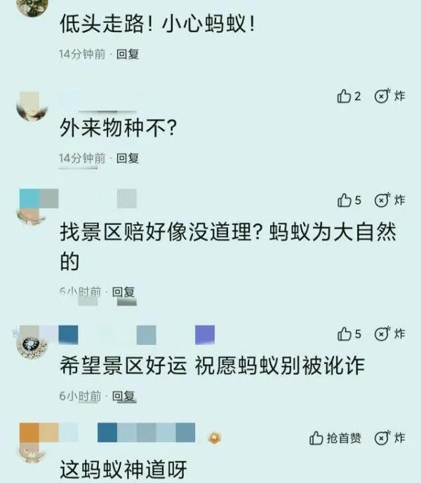 女子景区被蚂蚁咬伤晕厥,该不该找景区索赔?