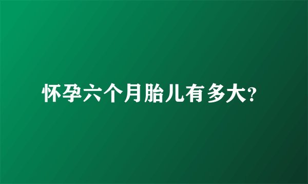 怀孕六个月胎儿有多大？